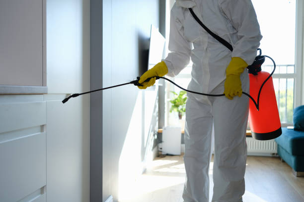 Best Bathroom Mold Remediation in , CA